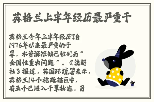 ysl水蜜桃色推荐4444